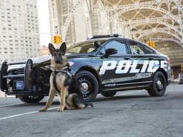 Fordy w służbie policji